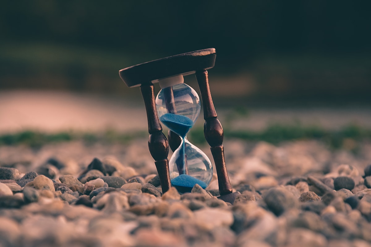 NZeTA processing time — Standard, Emergency and Express options compared