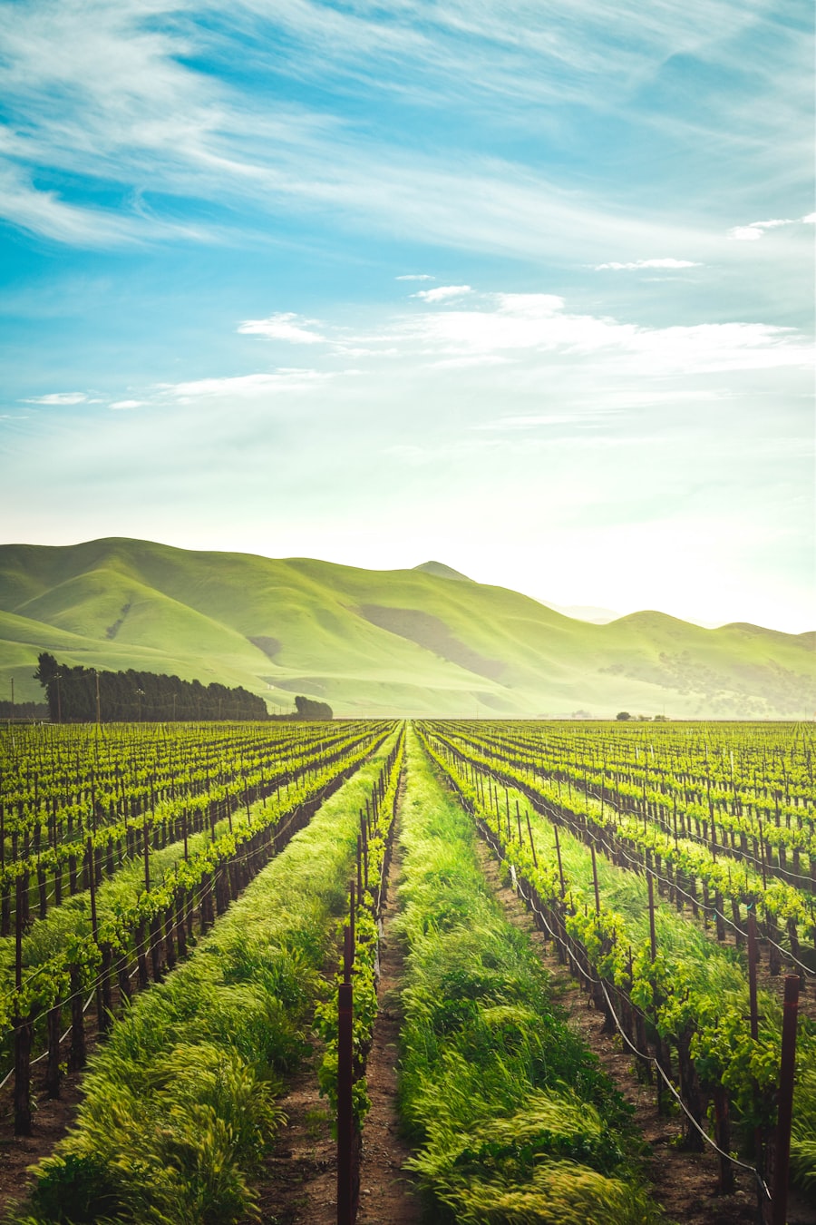 New Zealand Working Holiday Visa vs NZeTA — which do you need to visit or work in New Zealand